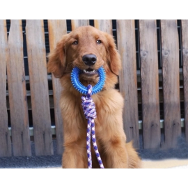 Supet Interactive Training Pet Toy Ring Spiked Ring Dog Teeth Cleaning Pet Supplies