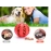 Pet Dog Toy Interactive Rubber Balls for Small Large Dogs Puppy Cat Chewing Toys Pet Tooth Cleaning Indestructible Dog Food Ball