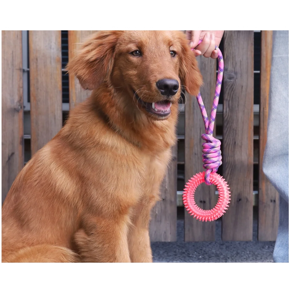 Supet Interactive Training Pet Toy Ring Spiked Ring Dog Teeth Cleaning Pet Supplies