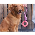 Supet Interactive Training Pet Toy Ring Spiked Ring Dog Teeth Cleaning Pet Supplies