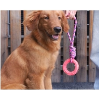 Supet Interactive Training Pet Toy Ring Spiked Ring Dog Teeth Cleaning Pet Supplies