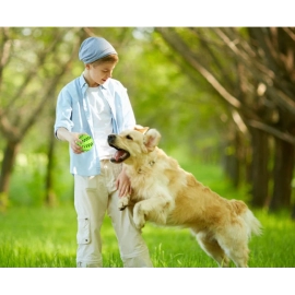 Pet Dog Toy Interactive Rubber Balls for Small Large Dogs Puppy Cat Chewing Toys Pet Tooth Cleaning Indestructible Dog Food Ball