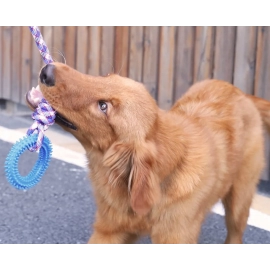 Supet Interactive Training Pet Toy Ring Spiked Ring Dog Teeth Cleaning Pet Supplies